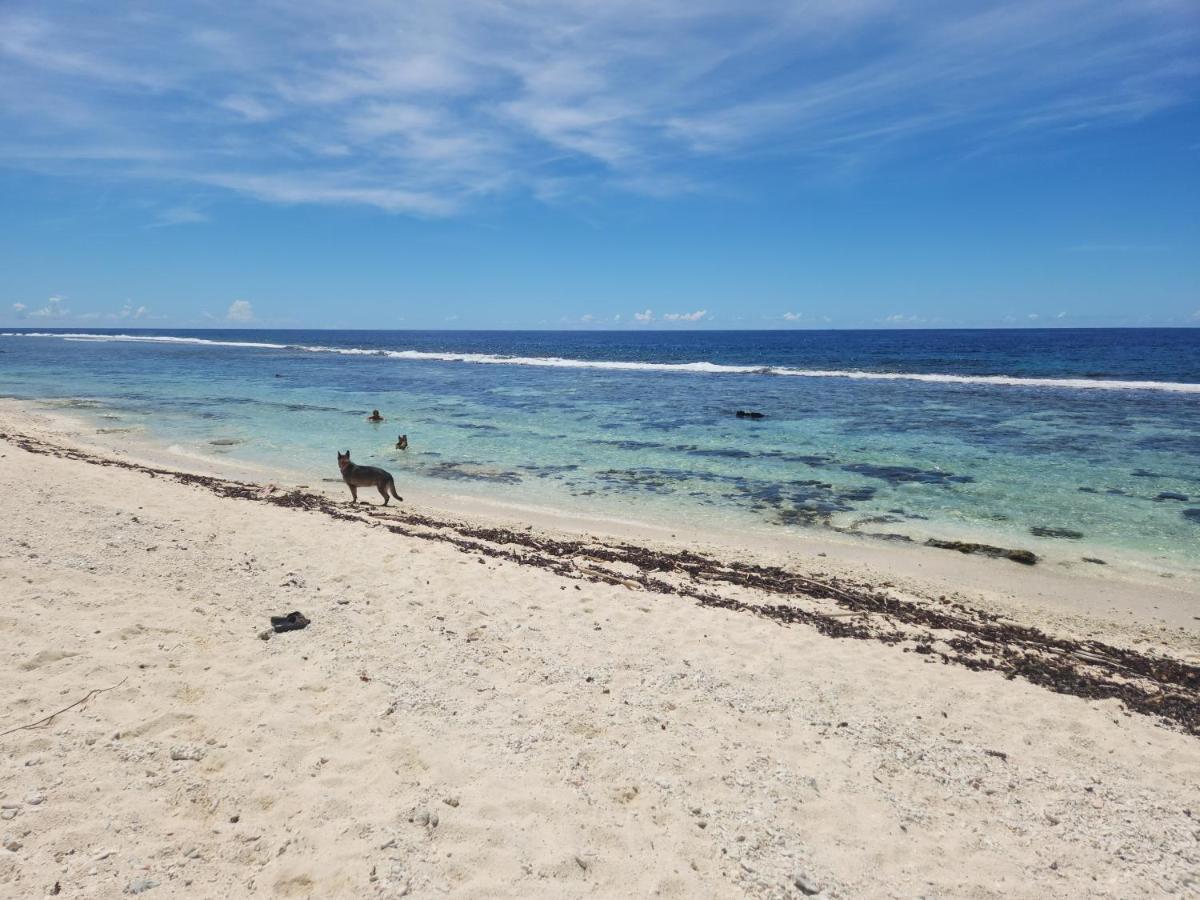 Green Villa Moorea Temae Εξωτερικό φωτογραφία